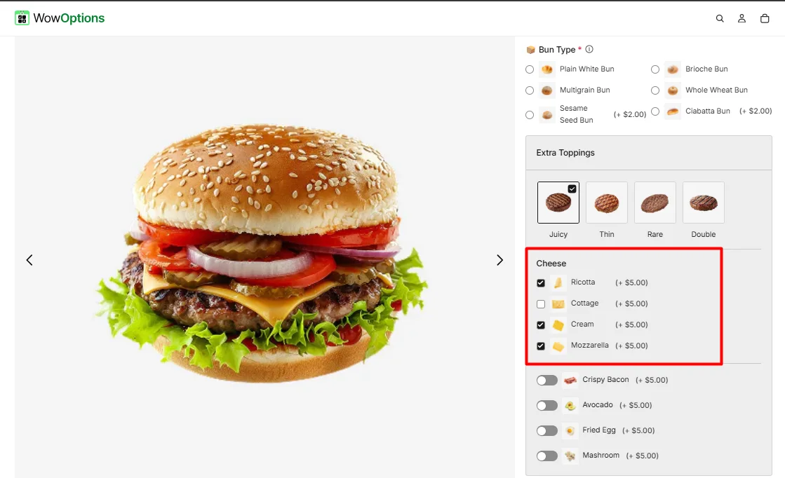Checkbox Option Example