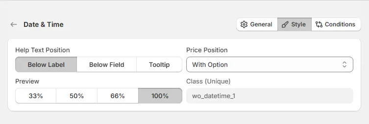 Date and Time Option Style Tab