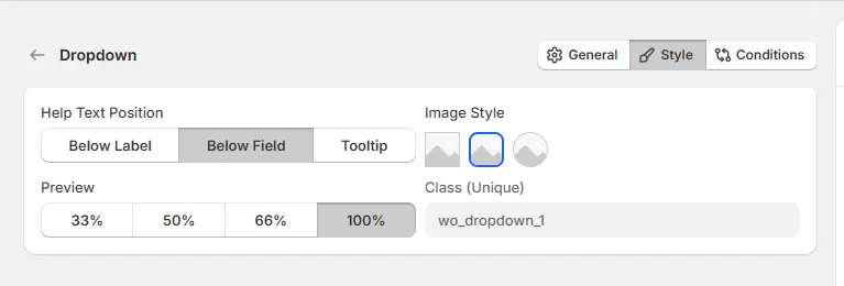 Dropdown Option Style Tab